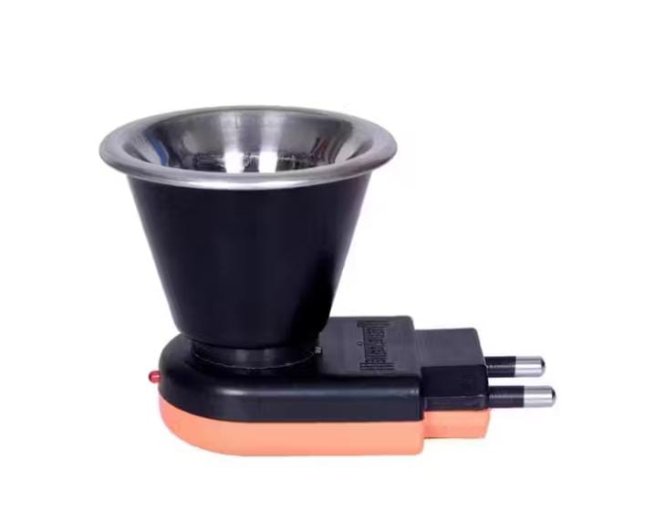 Organic Vegetable Box