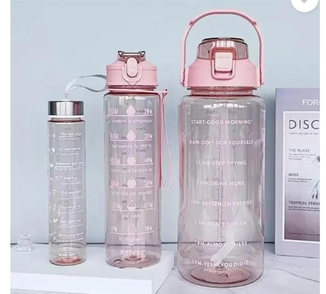 Organic Vegetable Box