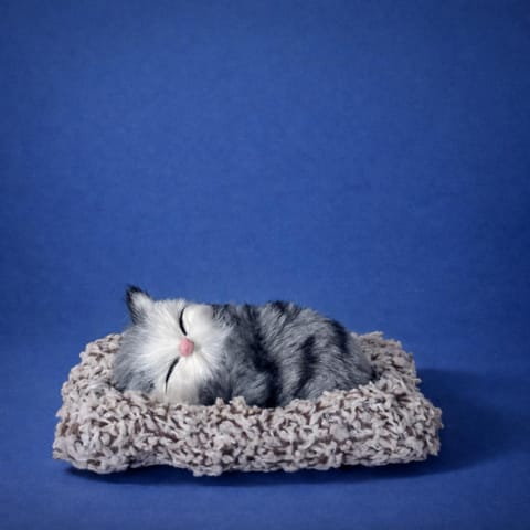 Organic Vegetable Box