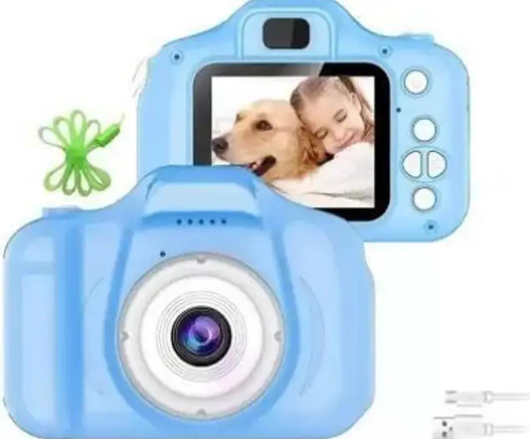 Organic Vegetable Box