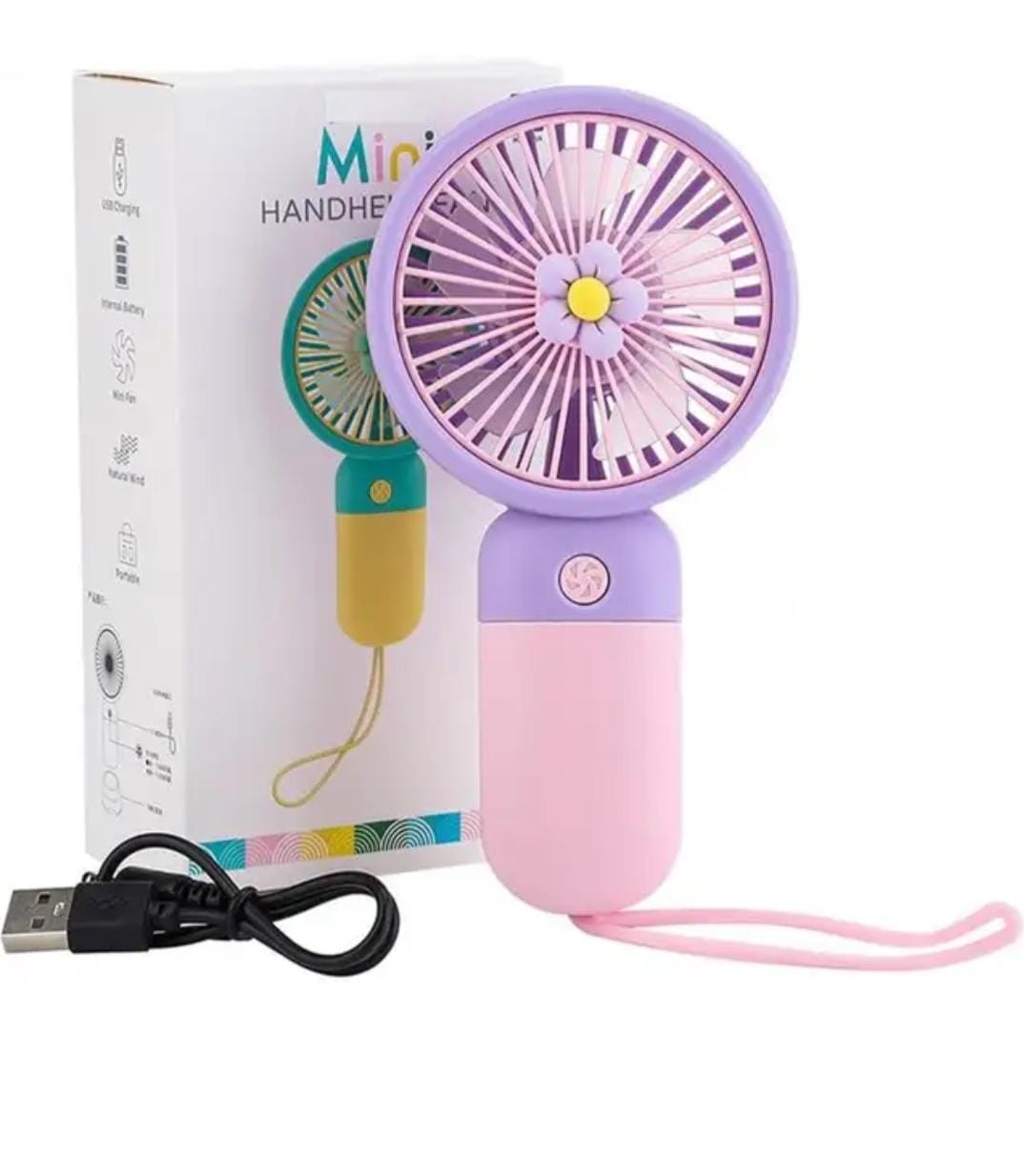 Organic Vegetable Box